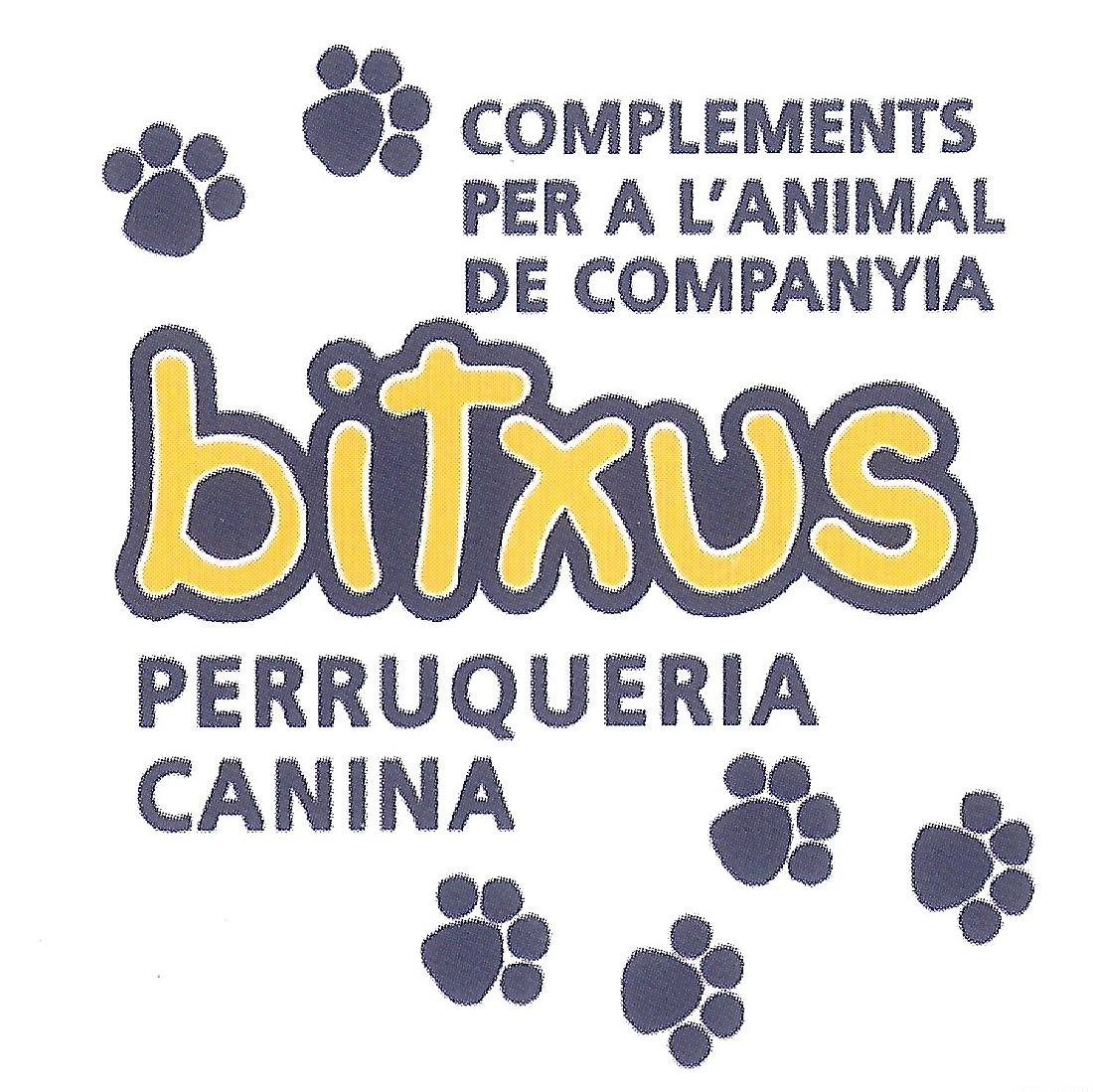 Ir a página principal. Logotipo Bitxus Online